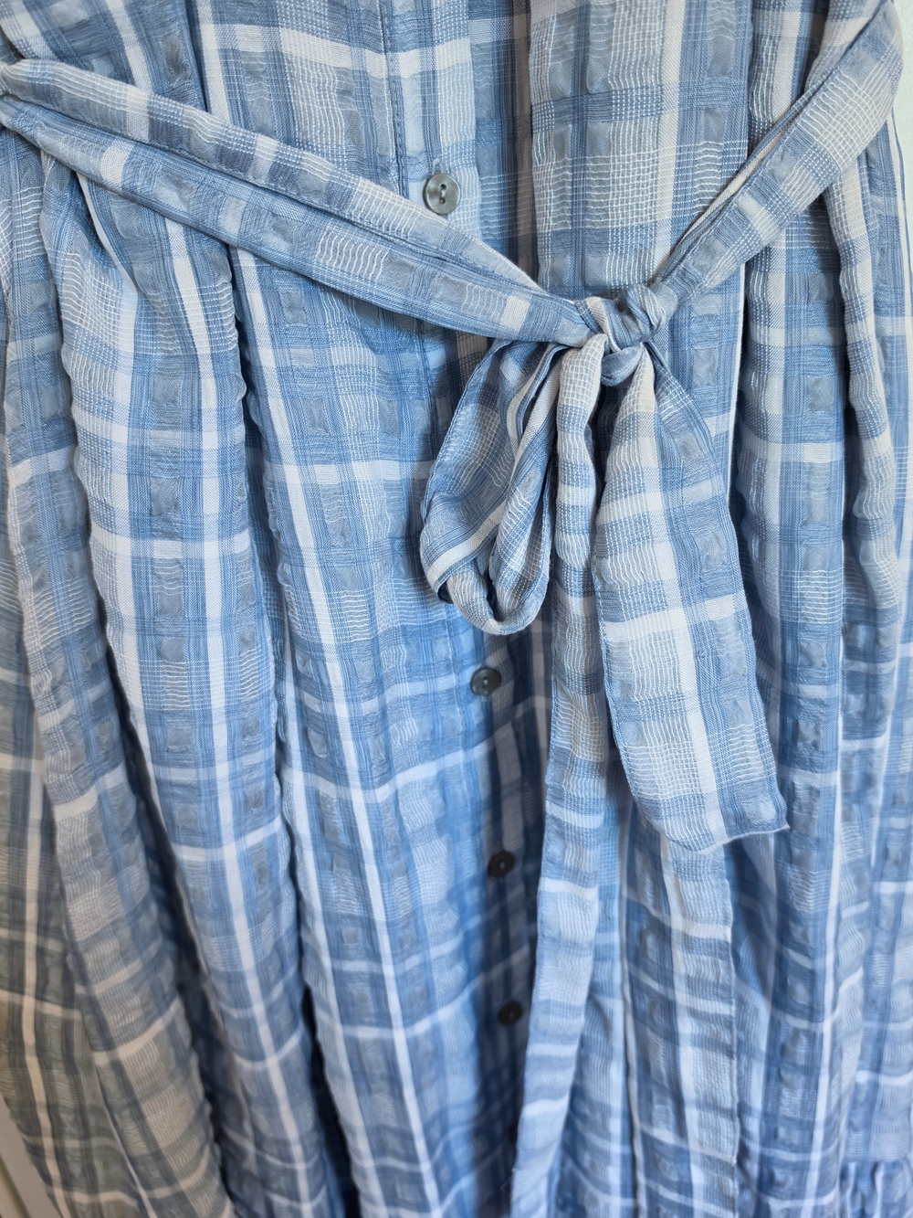 Anthropologie Sleeveless Light Blue Plaid Button-Front Maxi Dress - Picture 7 of 9